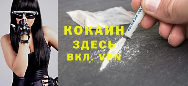 винт Богданович