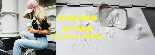 винт Богданович