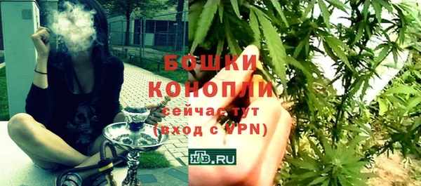 твердый Богородск