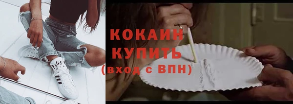 твердый Богородск