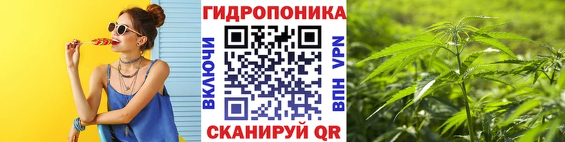 где можно купить наркотик  Буй  Бошки марихуана гибрид 